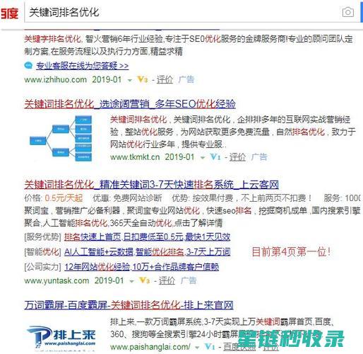 助力网站排名跃升的秘密武器 在线求SEO小技巧 (助力网站排名怎么看)