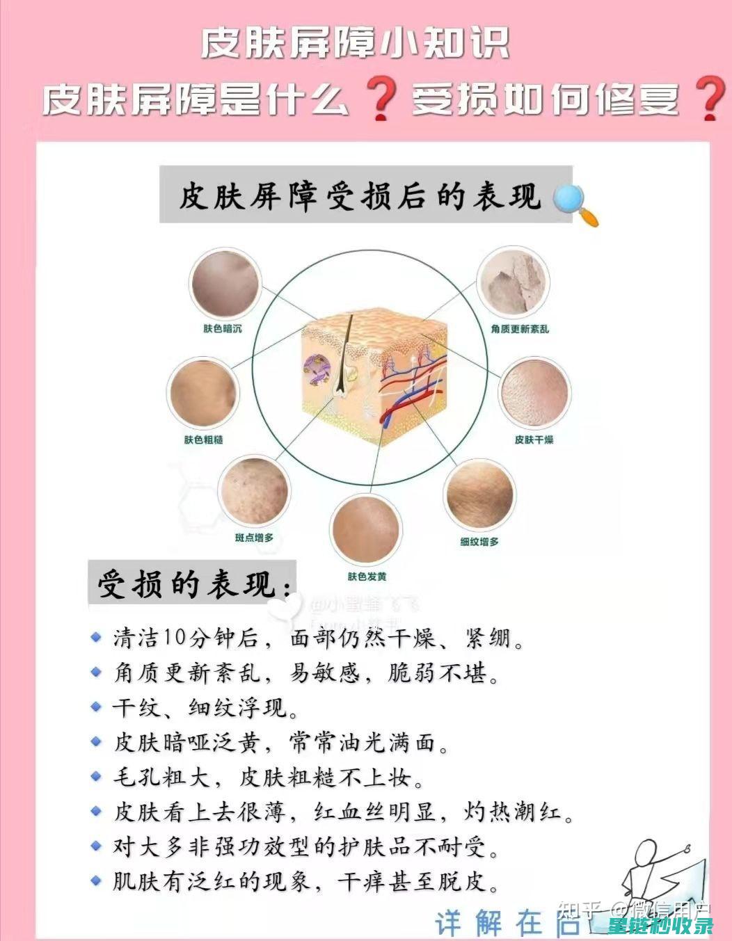 天然屏障——那些具有驱蚊效果的神奇植物推荐 (天然屏障的拼音)